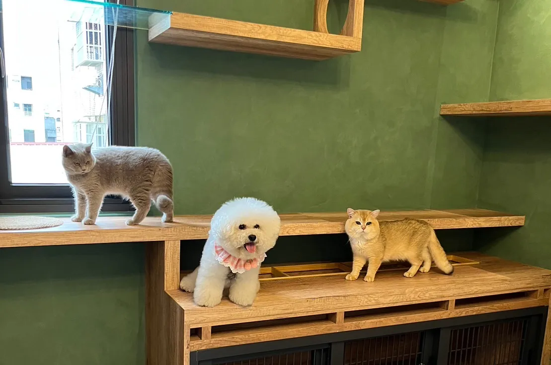 犬家福寵物館