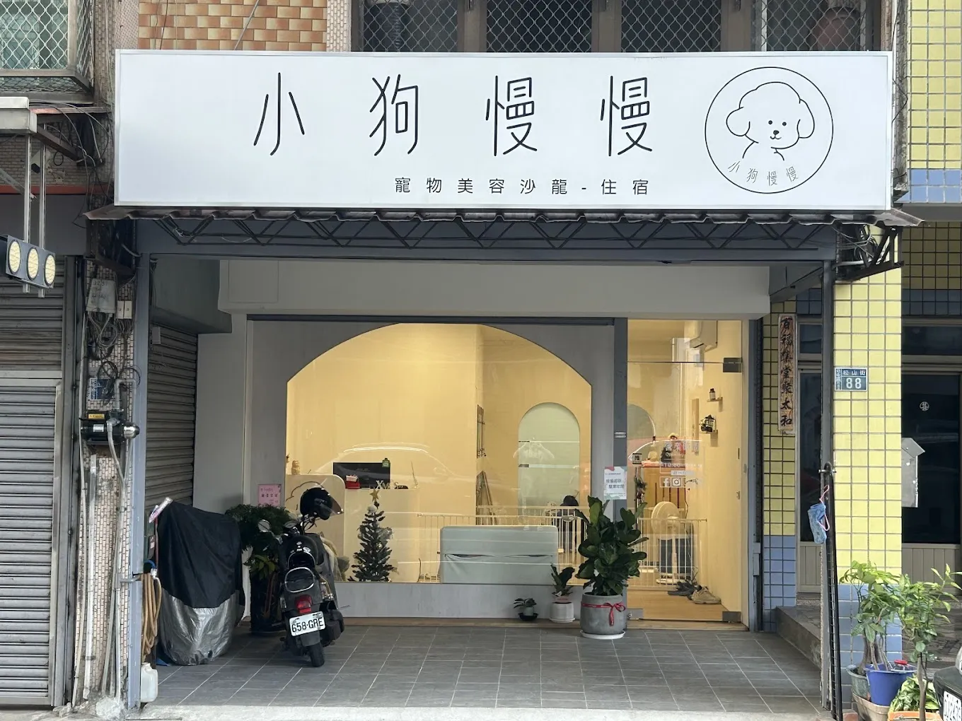 小狗慢慢寵物美容