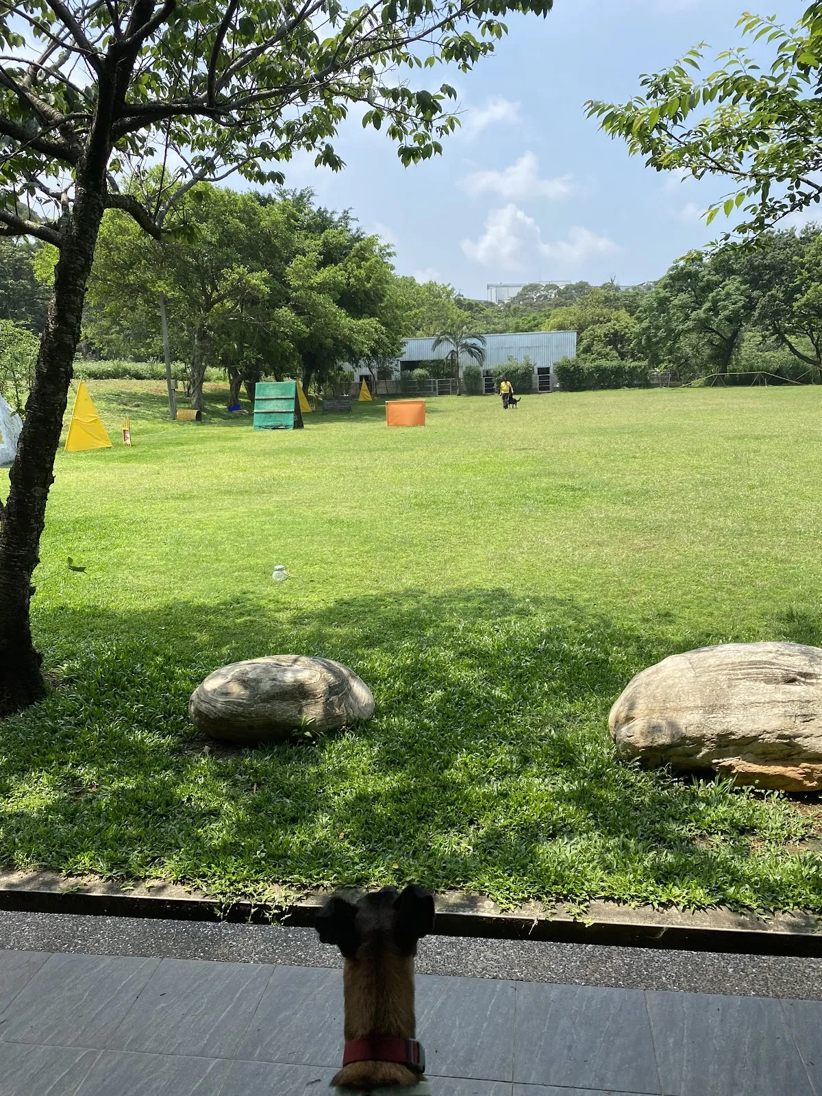 陳家班訓犬社