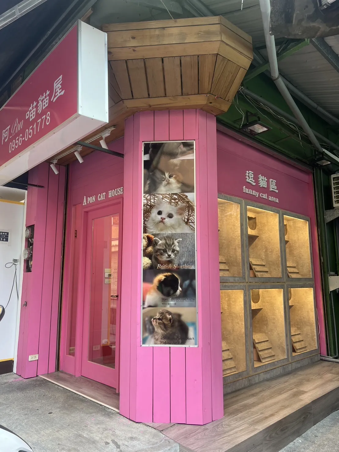 阿棚喵貓屋