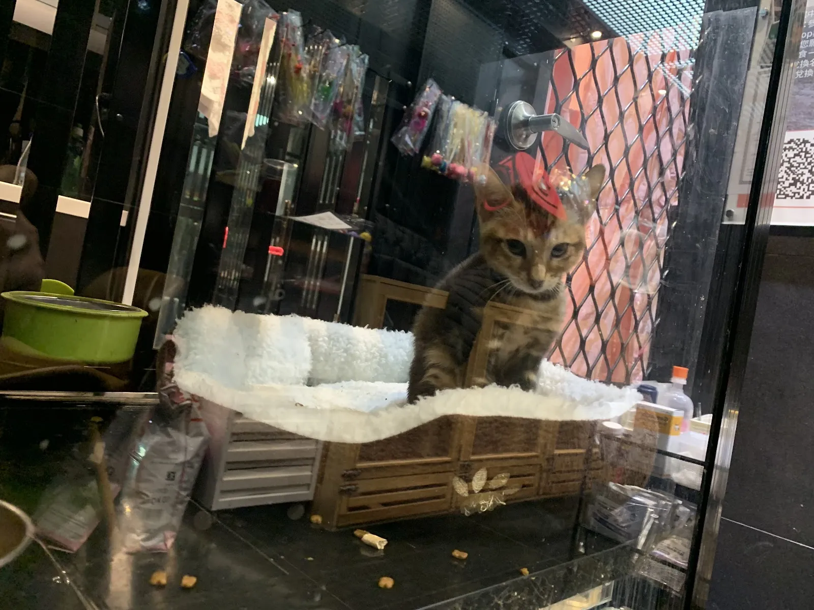 傻爸寵物鮮食館