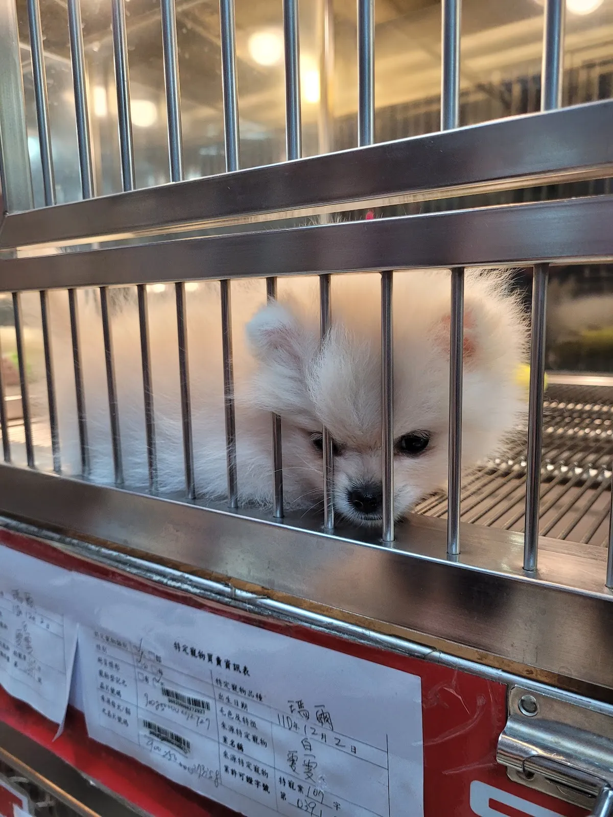 欣愛寵物坊