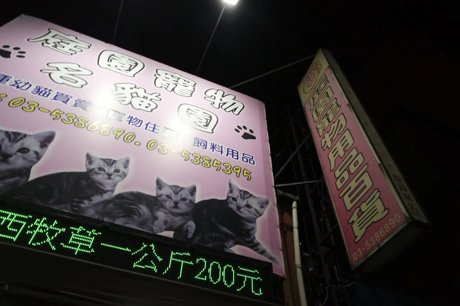庭園寵物名貓園