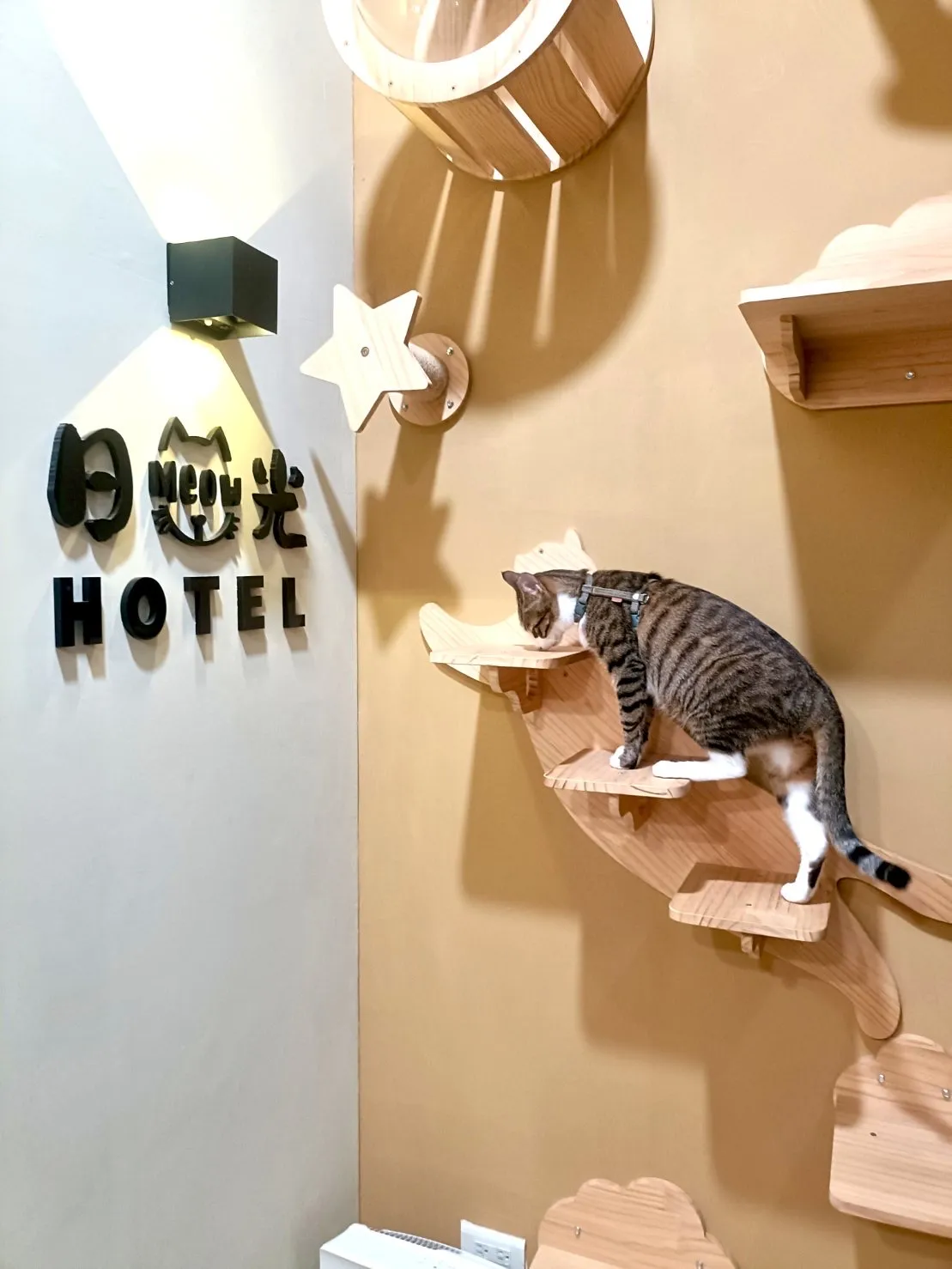 日光寵物旅館