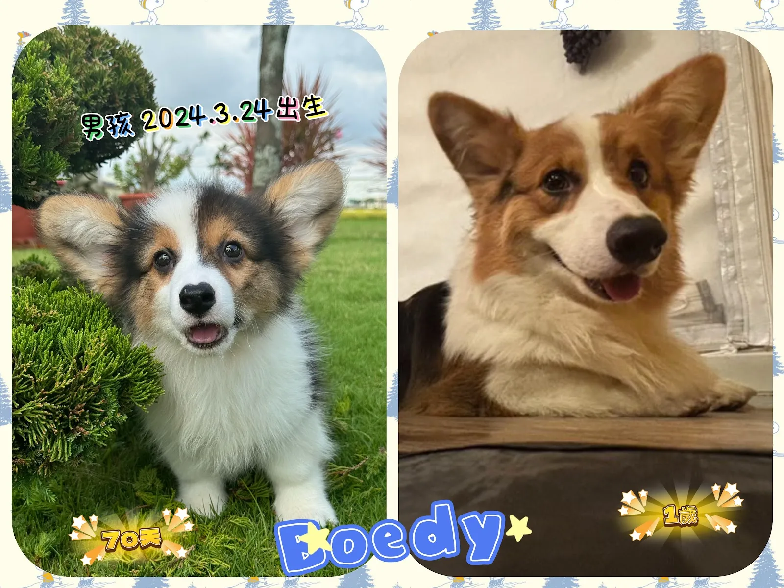 陳記犬舍