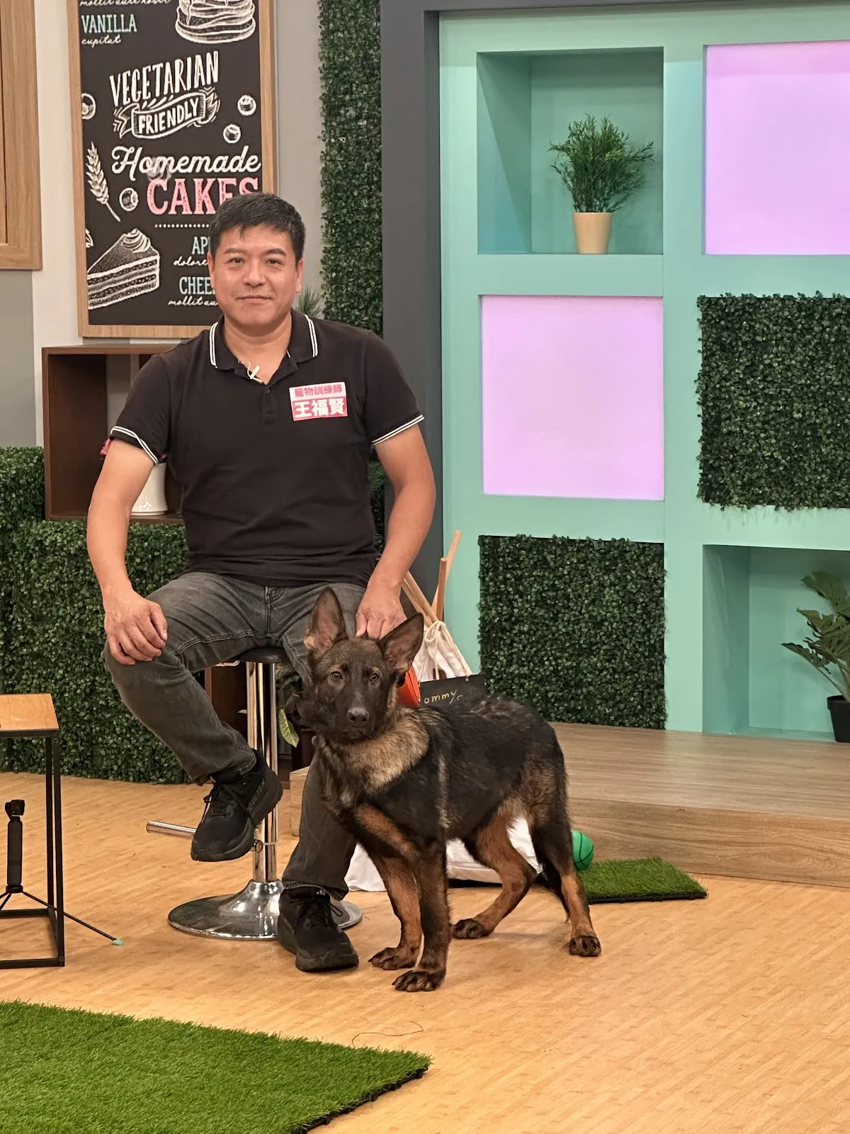 王座訓犬舍