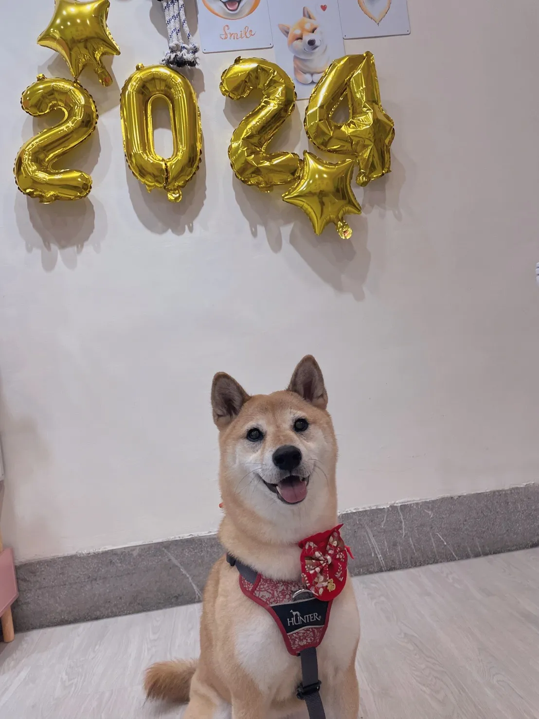 小犬大宅寵物旅店