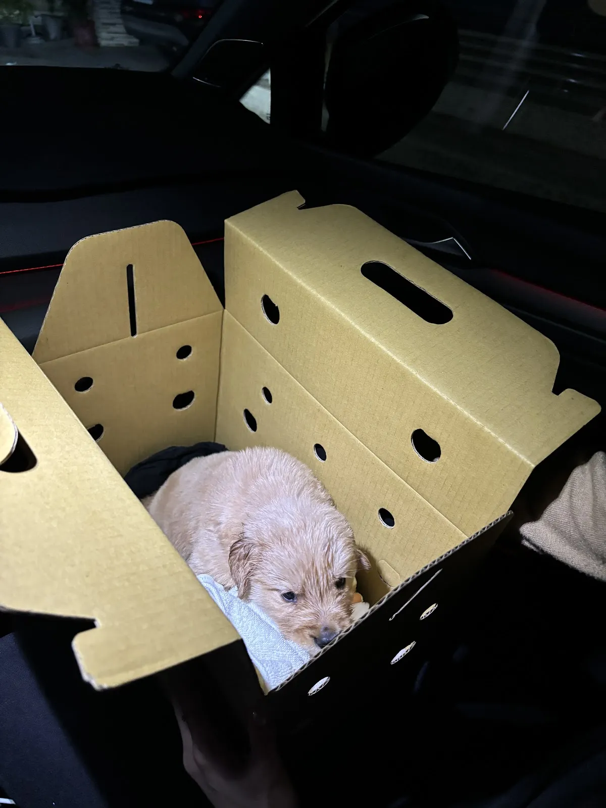 光明犬舍