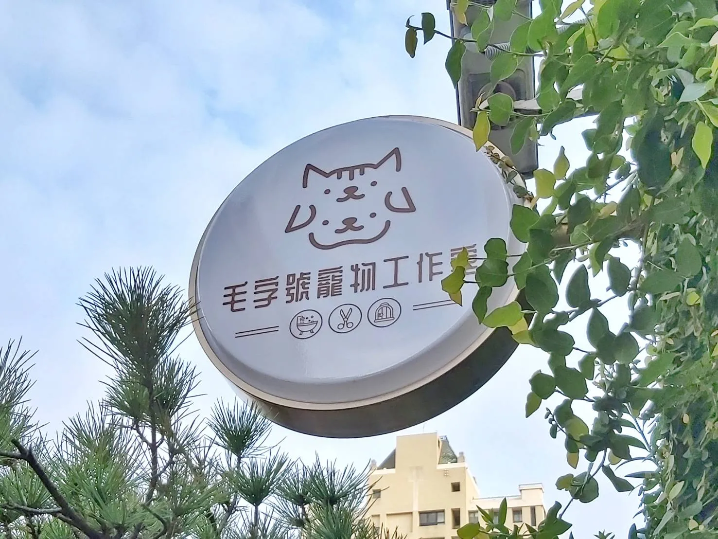 毛字號寵物工作室