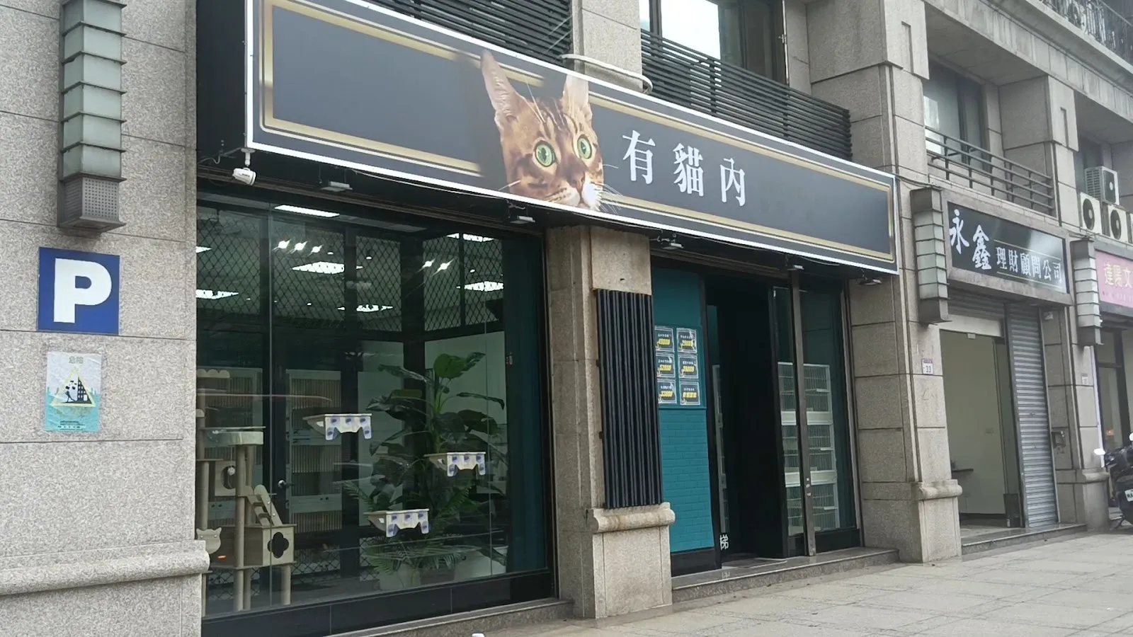 有貓內貓咪一館