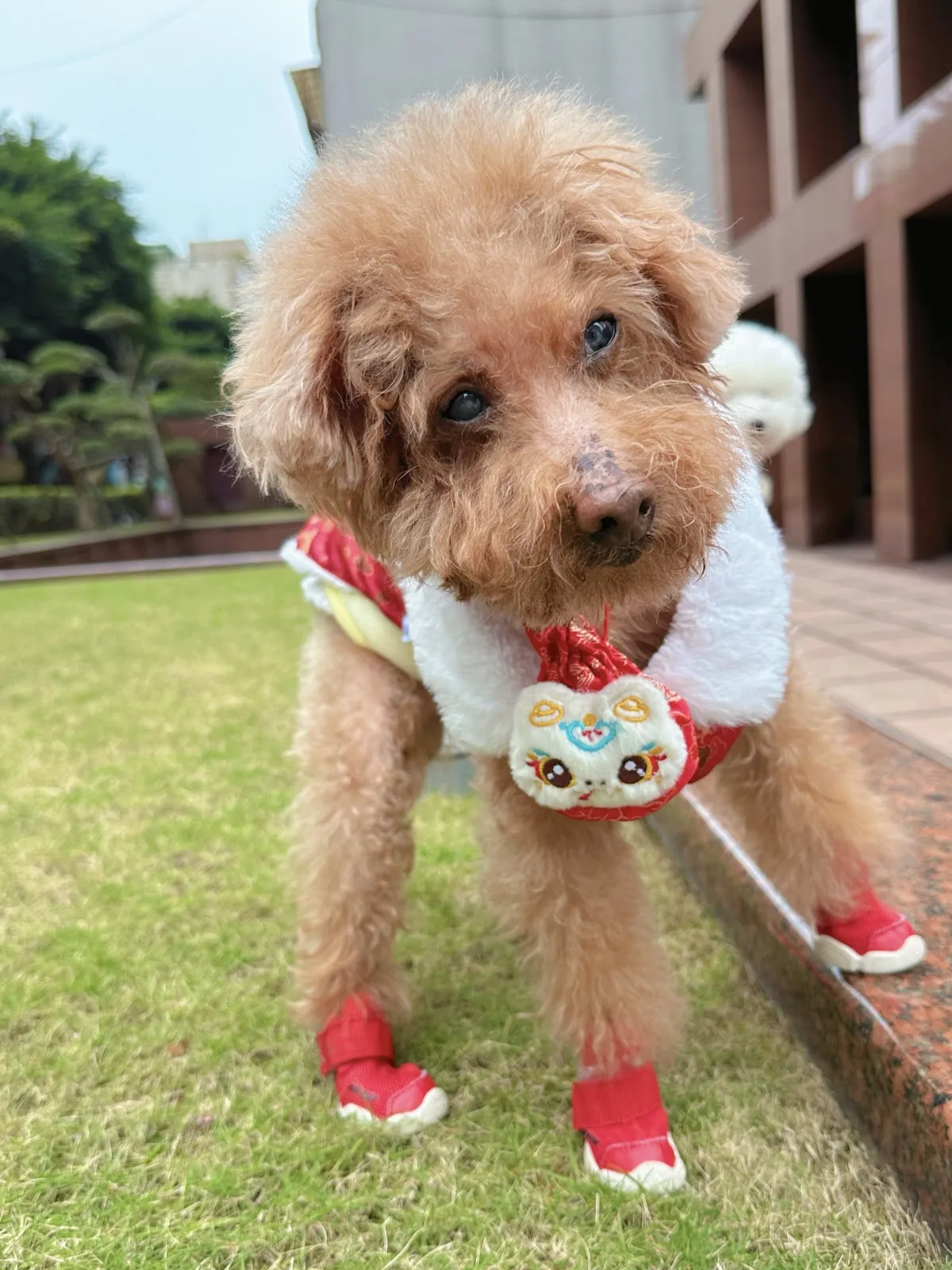德欣動物醫院