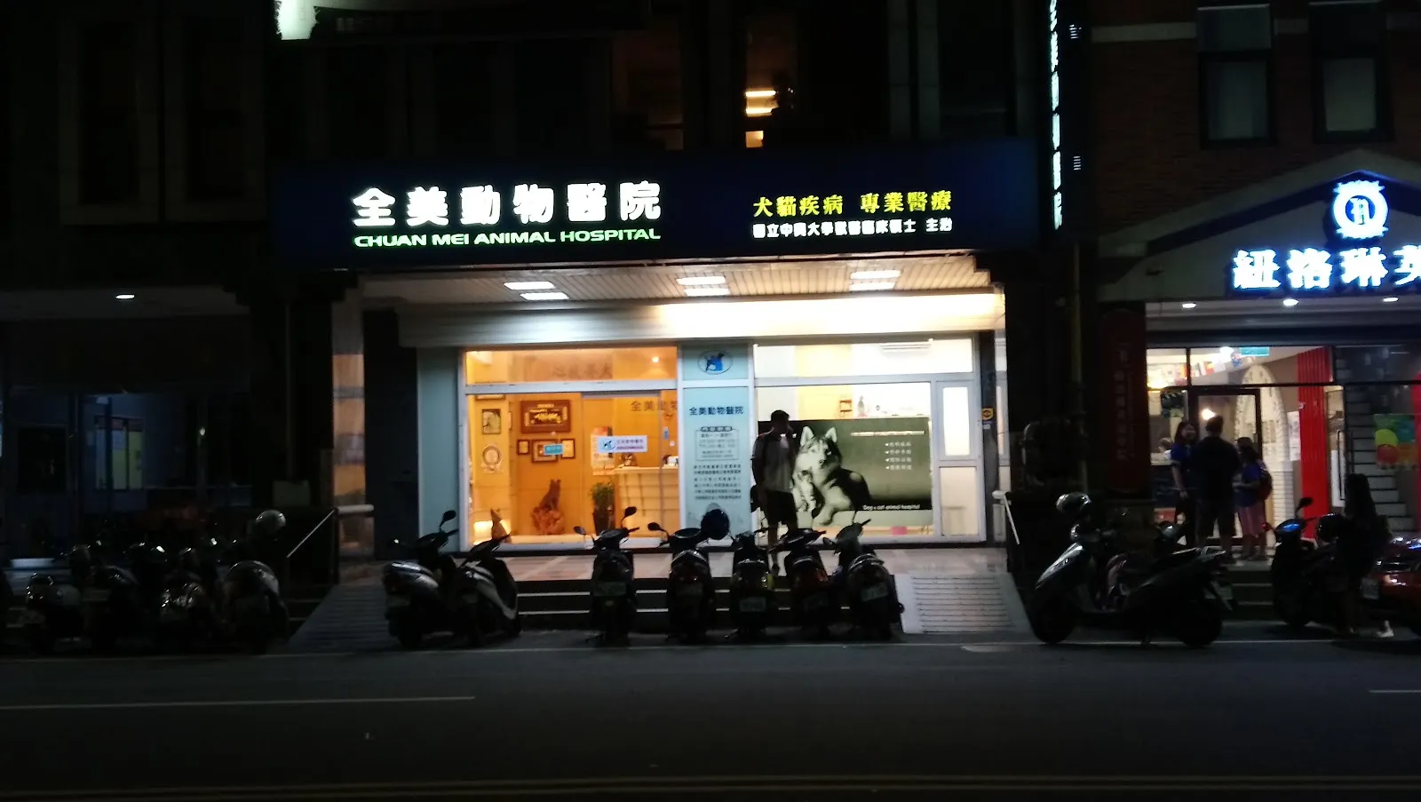 全美動物醫院