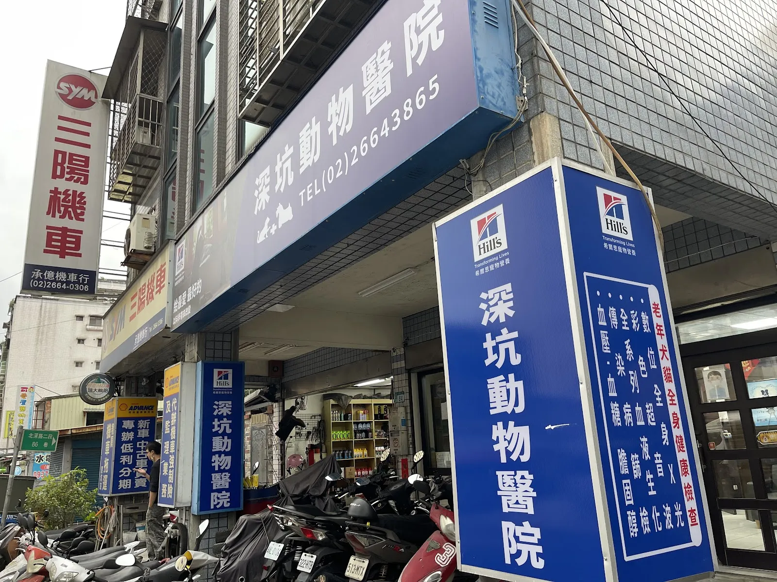 深坑動物醫院