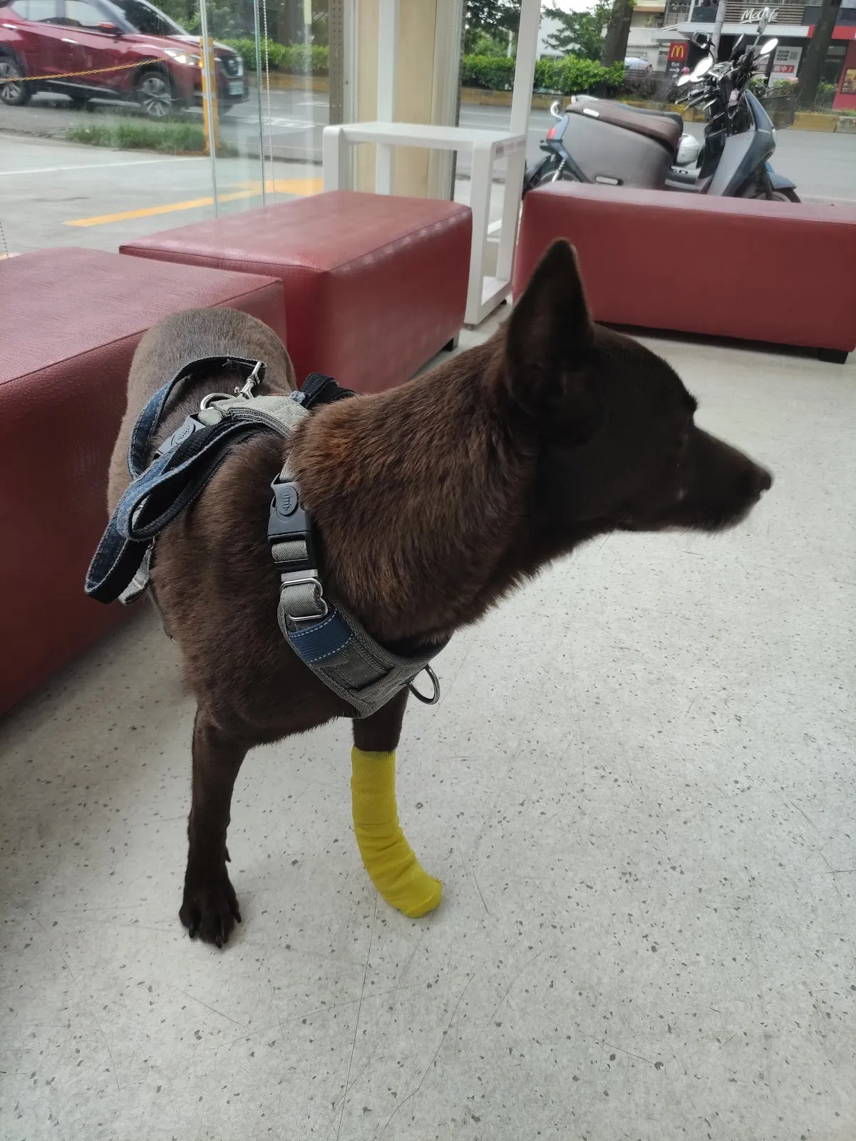 全美經國動物醫院