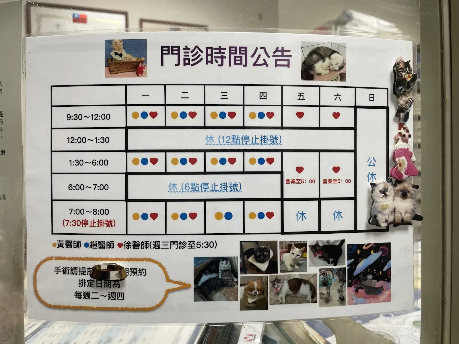 中美獸醫院