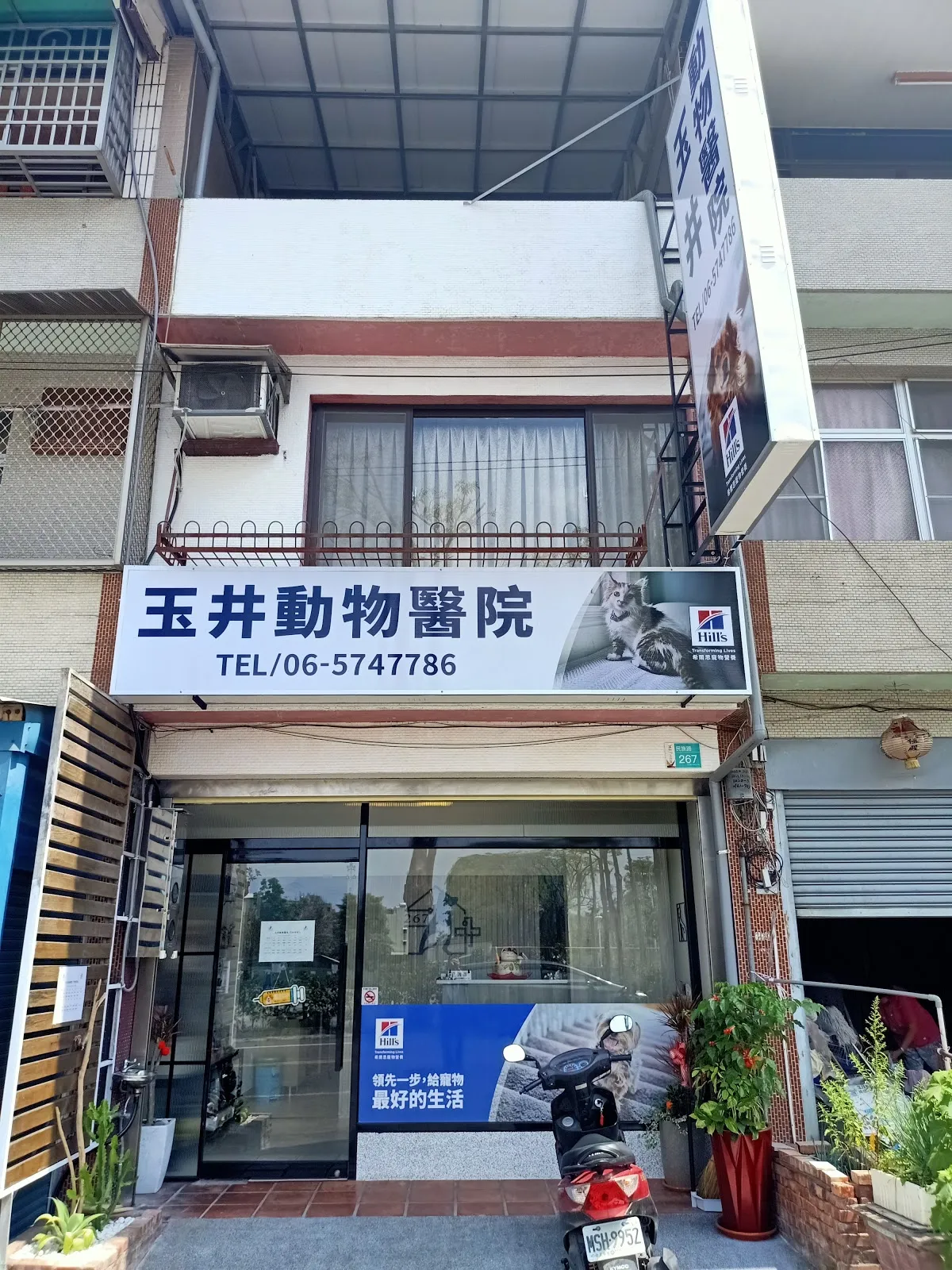 玉井動物醫院