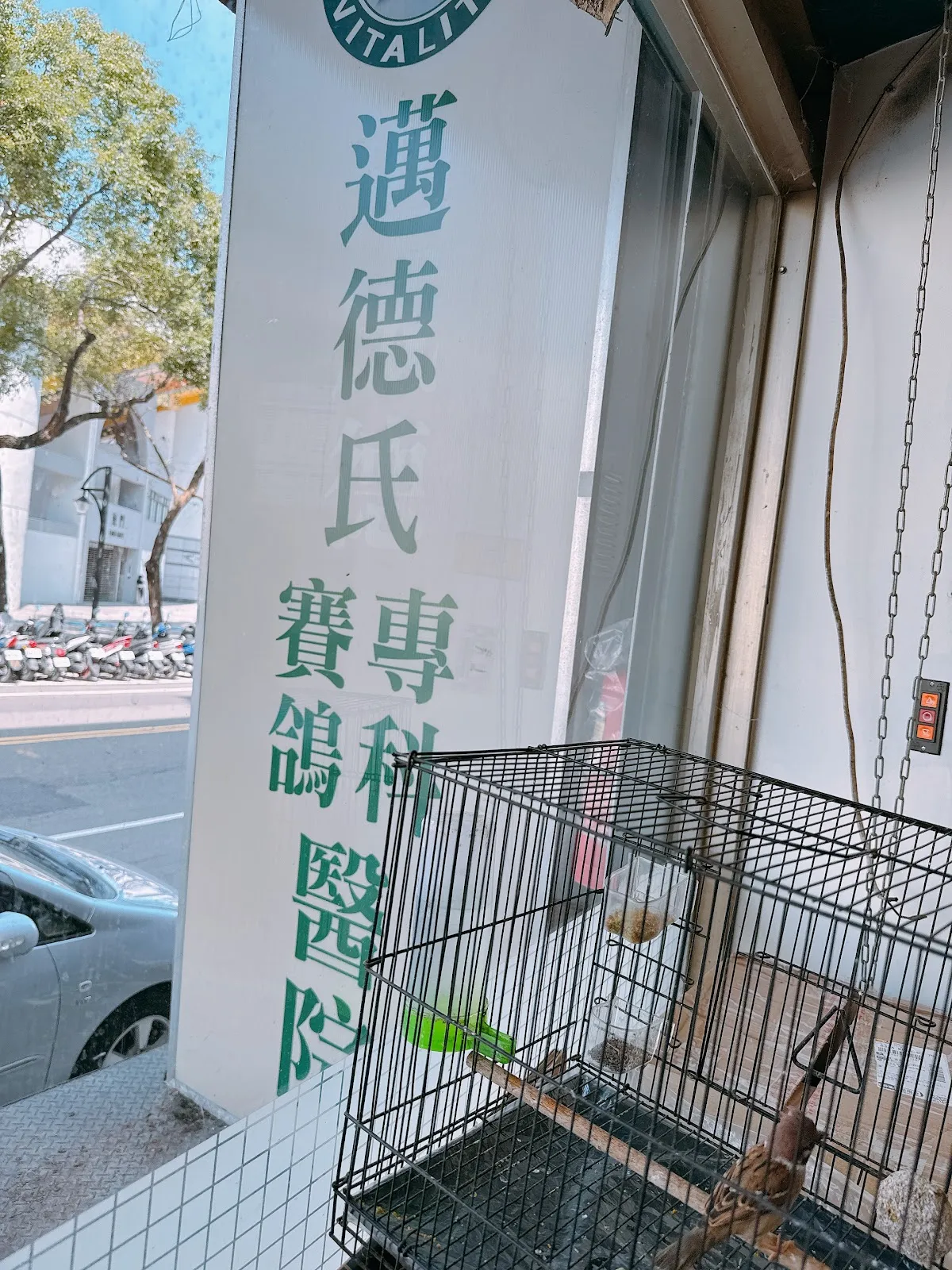 邁德氏賽鴿專科醫院