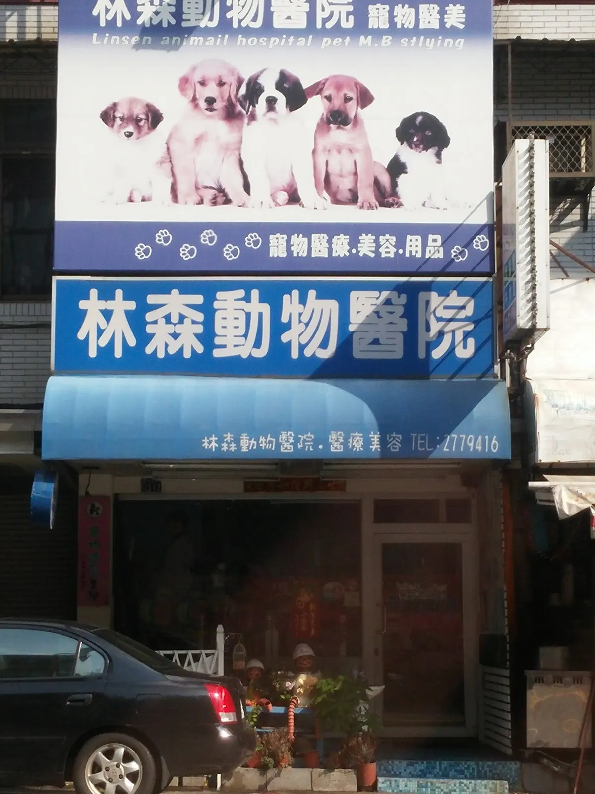 林森動物醫院