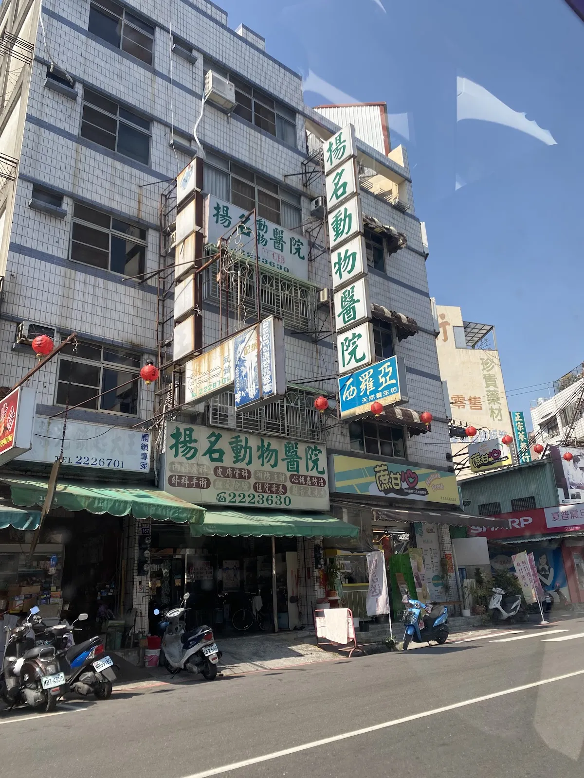 揚名動物醫院