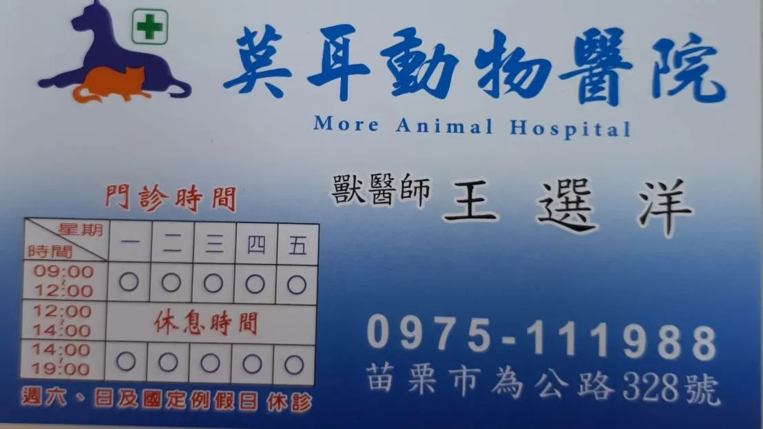 莫耳動物醫院