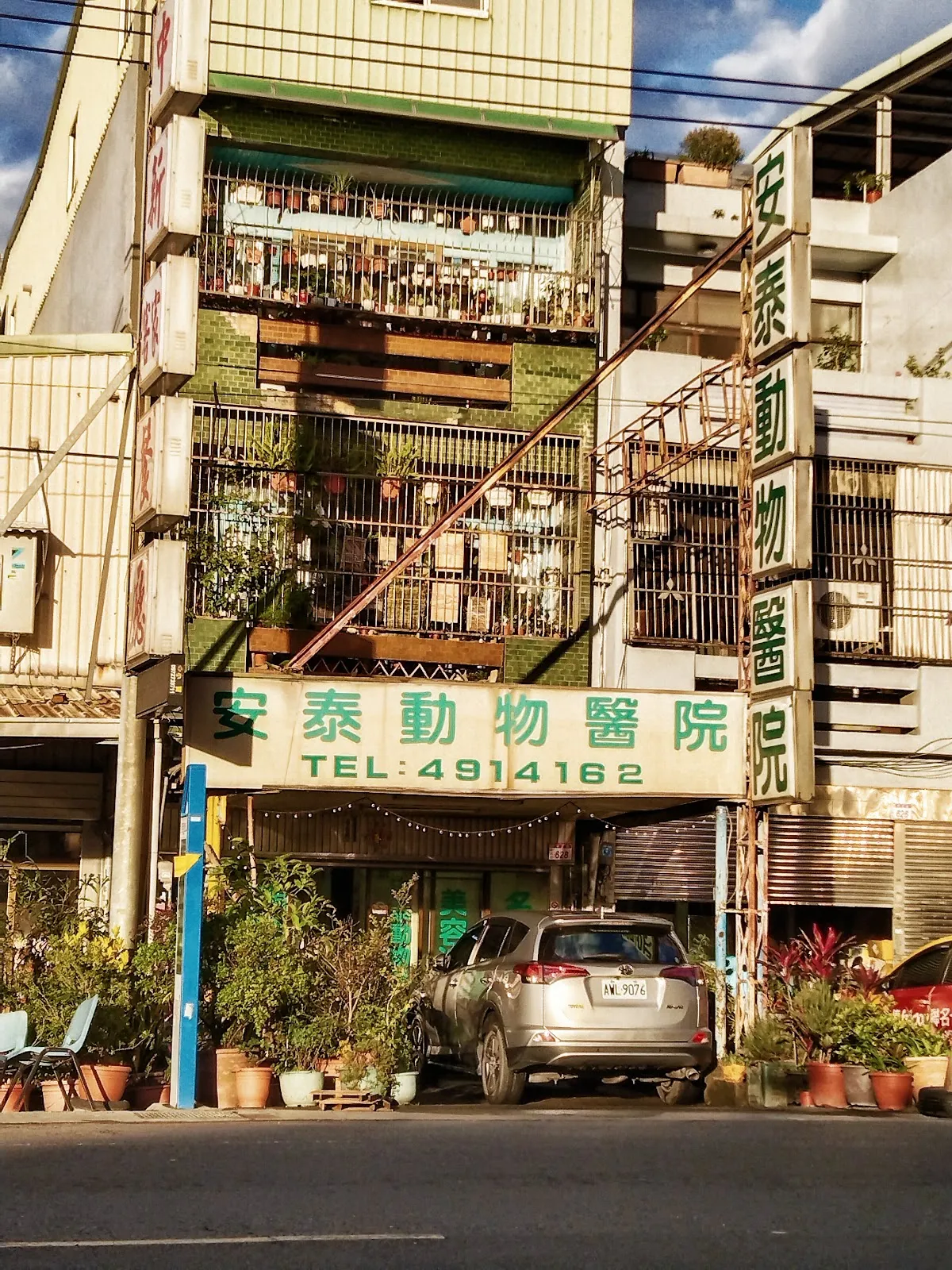 安泰動物醫院