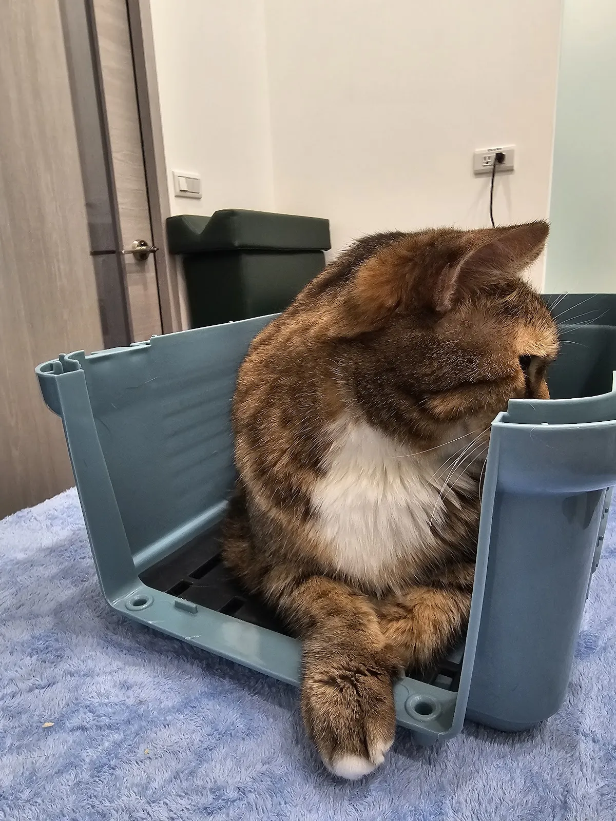 彼樂動物醫院