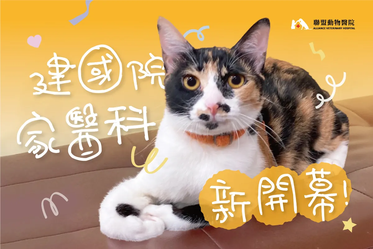 聯盟建國動物醫院