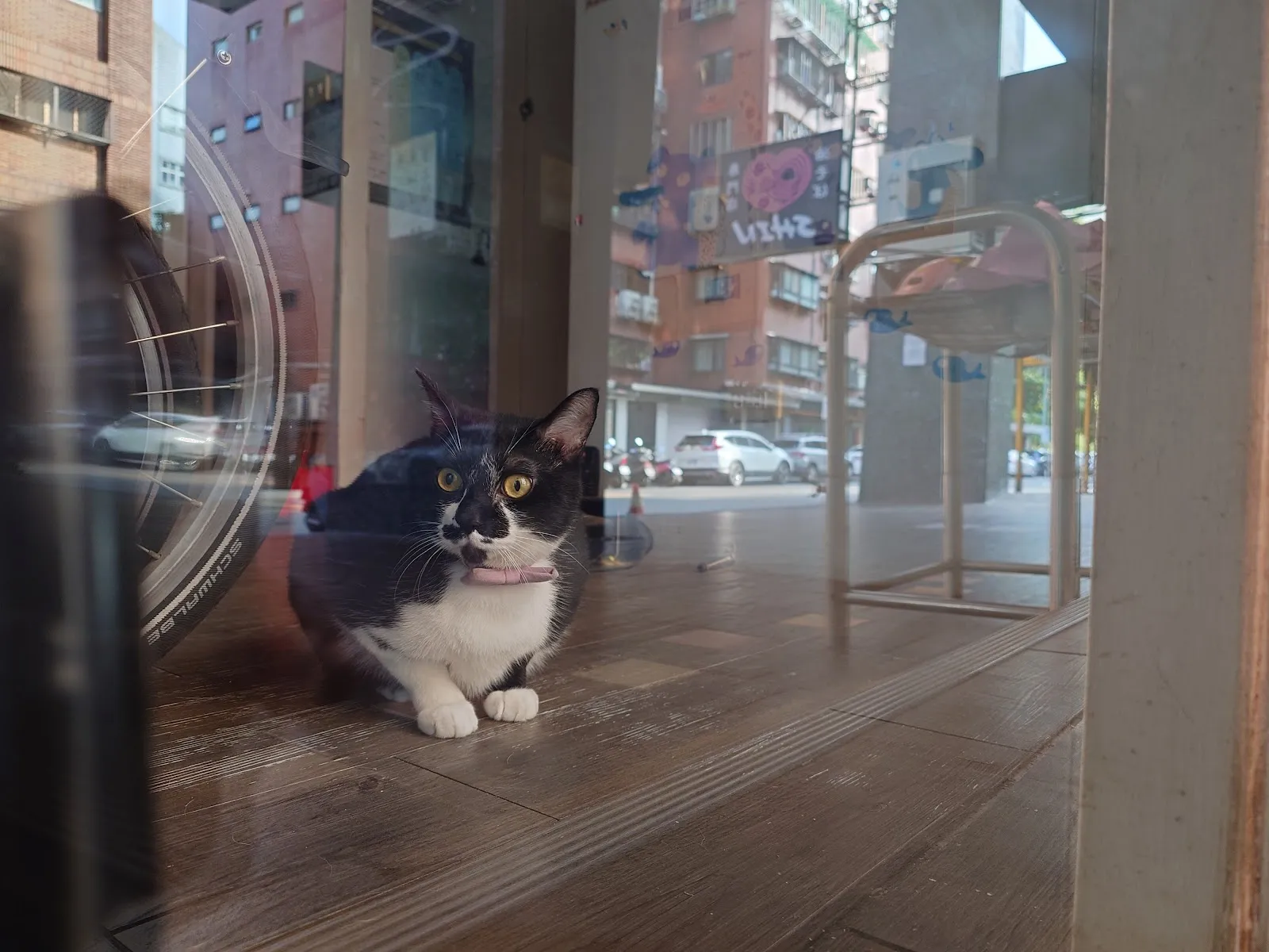仁愛動物醫院