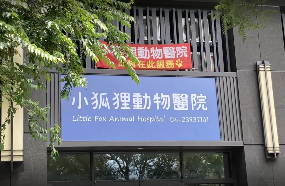 小狐狸動物醫院