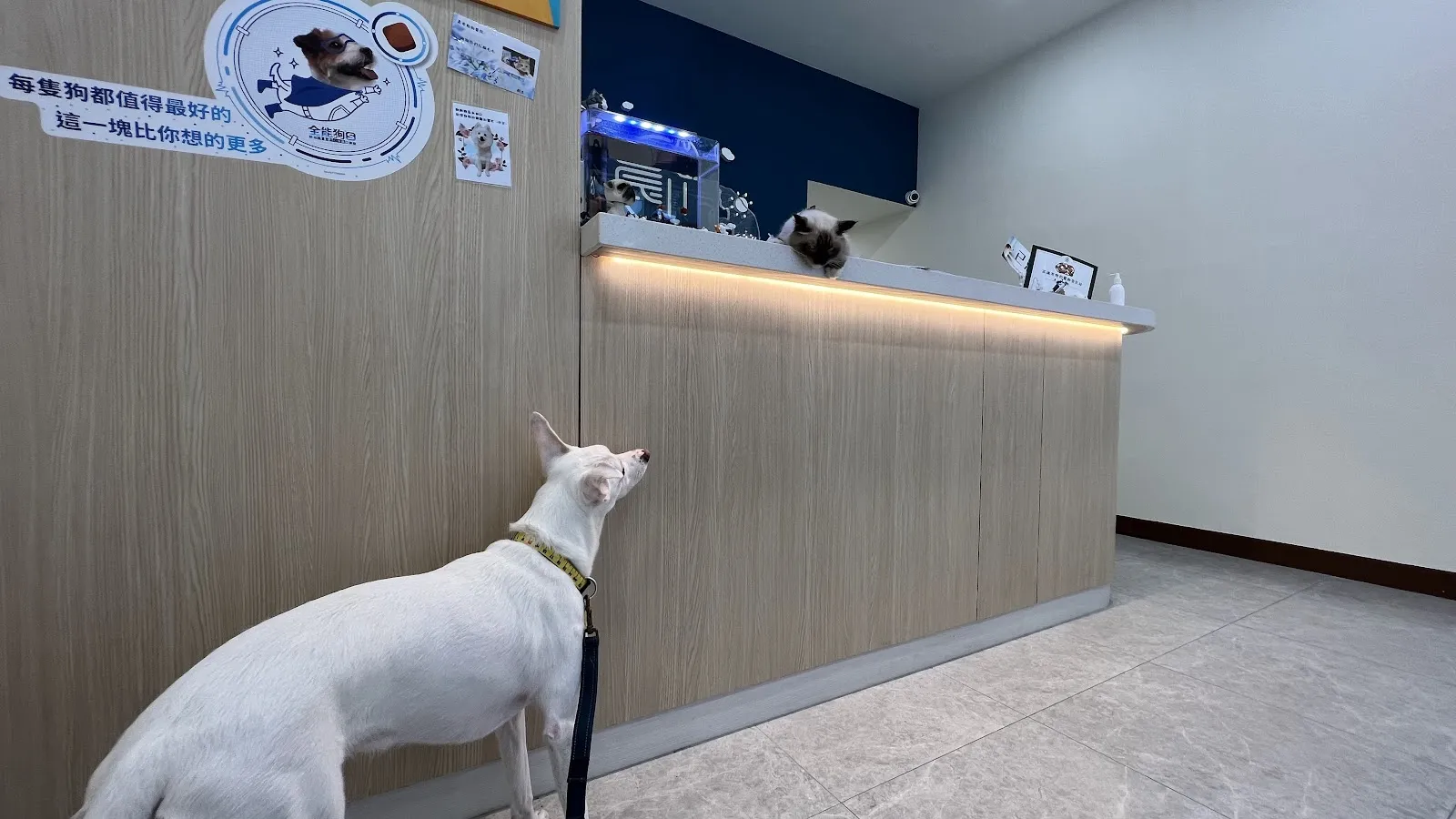 晨心動物醫院
