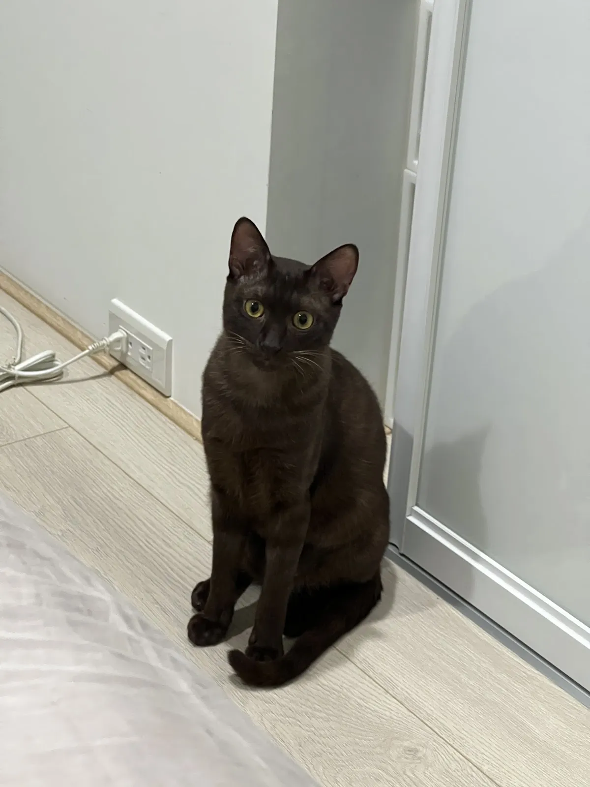 新莊太僕動物醫院