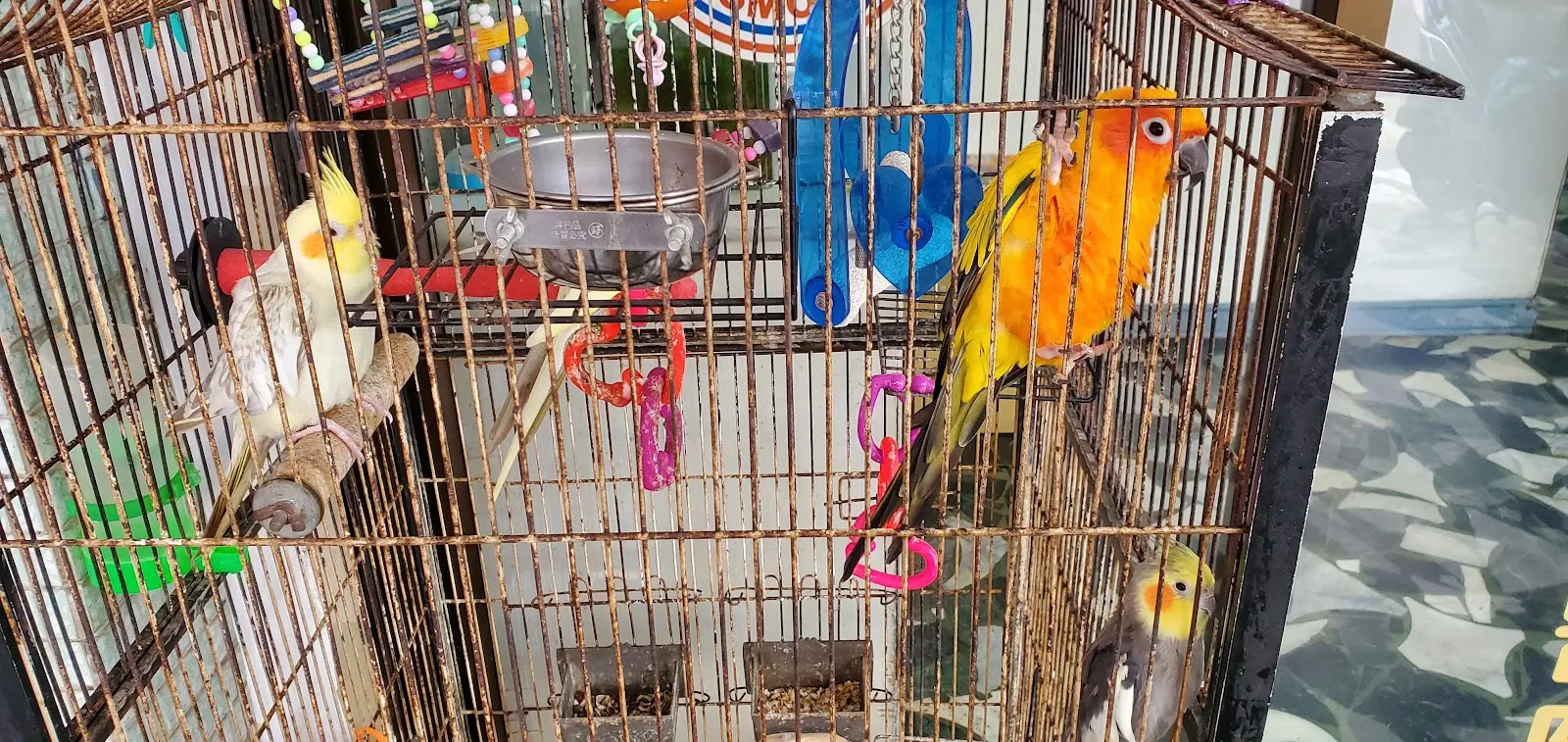 凡賽爾動物醫院