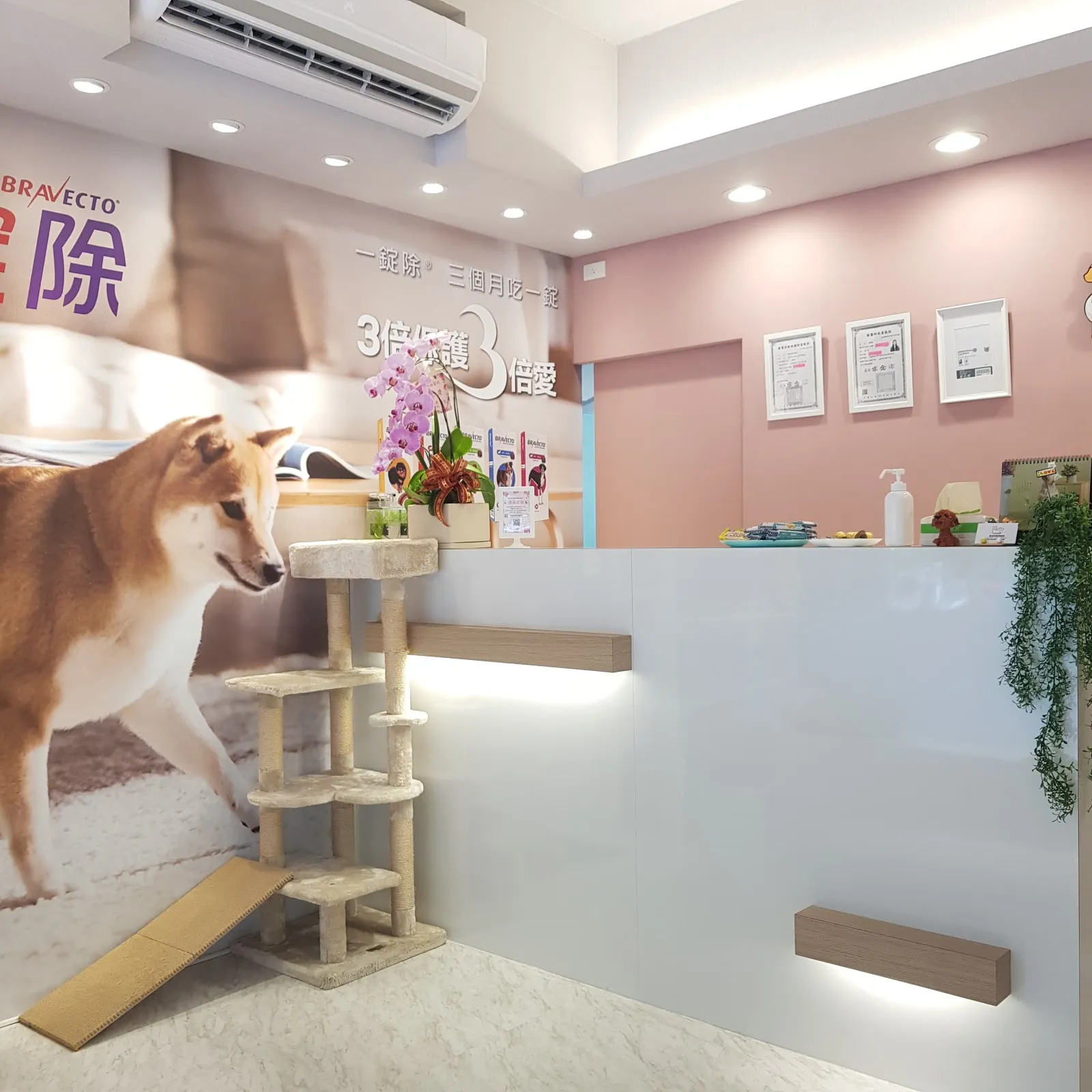 樂膚莉動物醫院