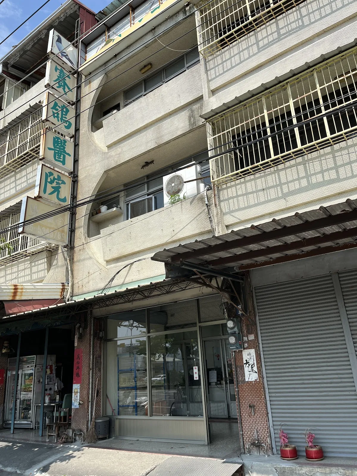 行健行賽鴿醫院
