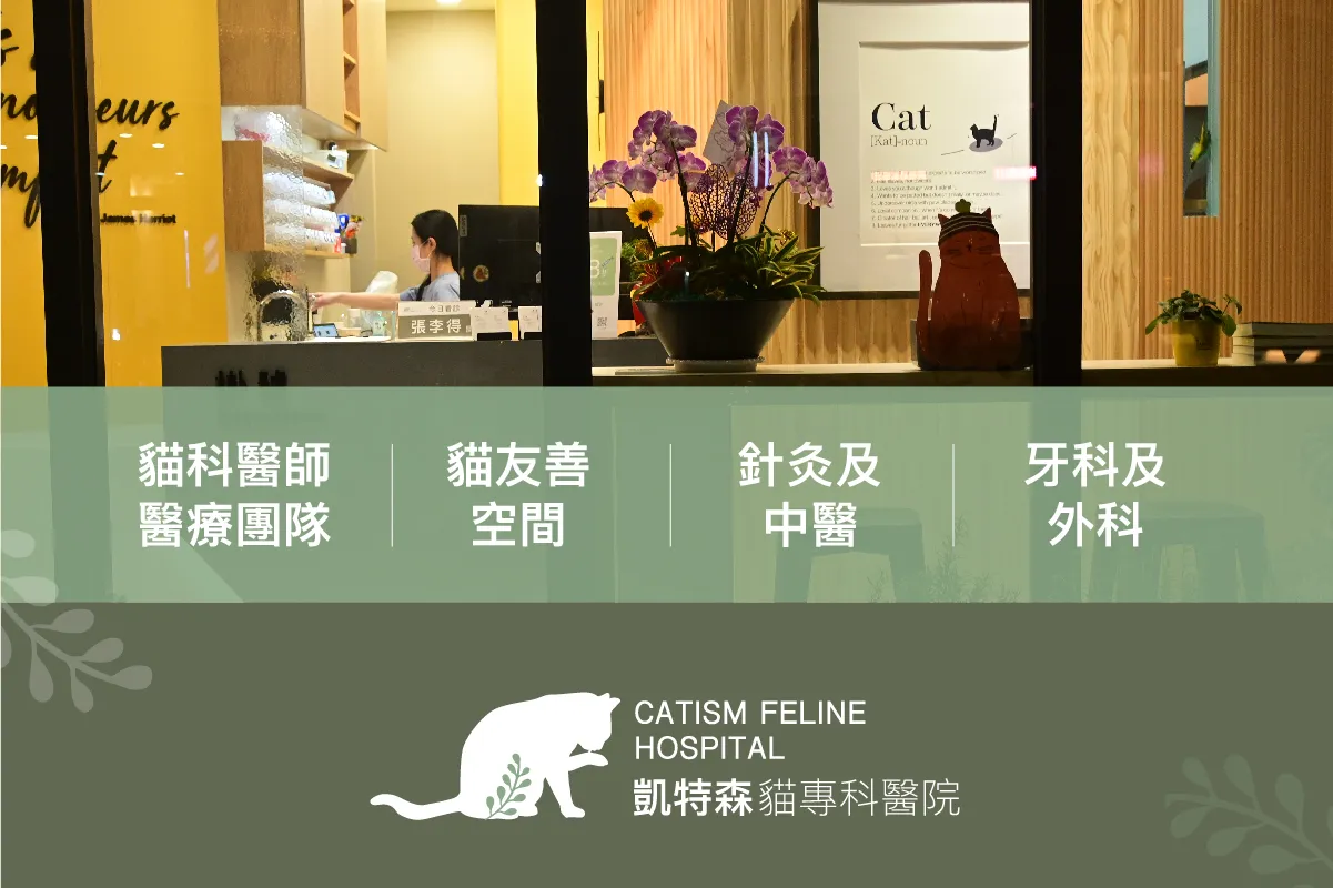 凱特森貓專科醫院