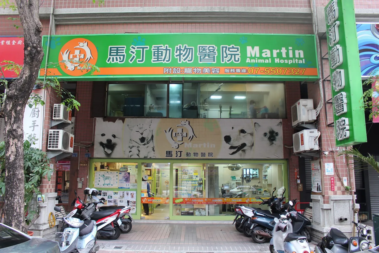 馬汀動物醫院