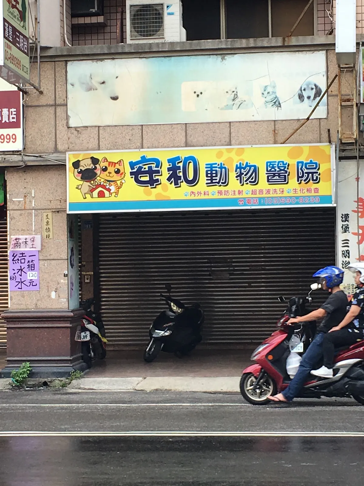 安和動物醫院