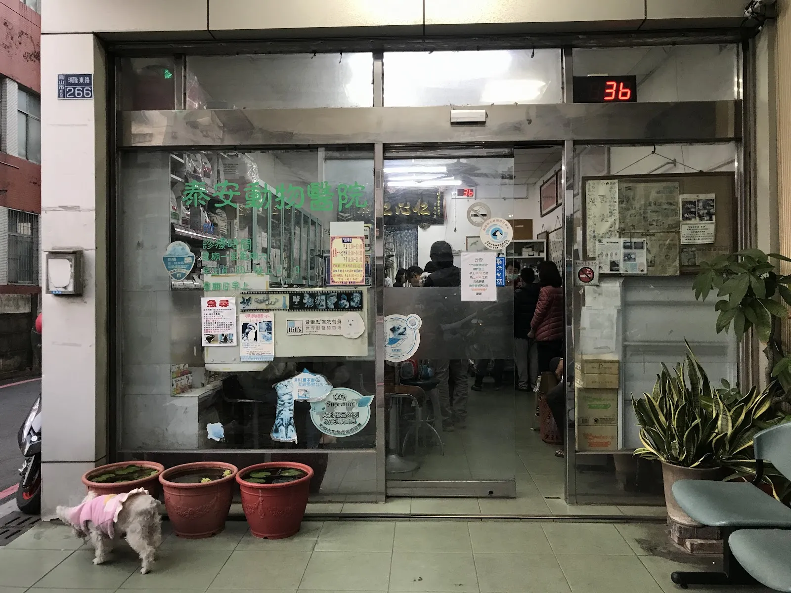 泰安動物醫院