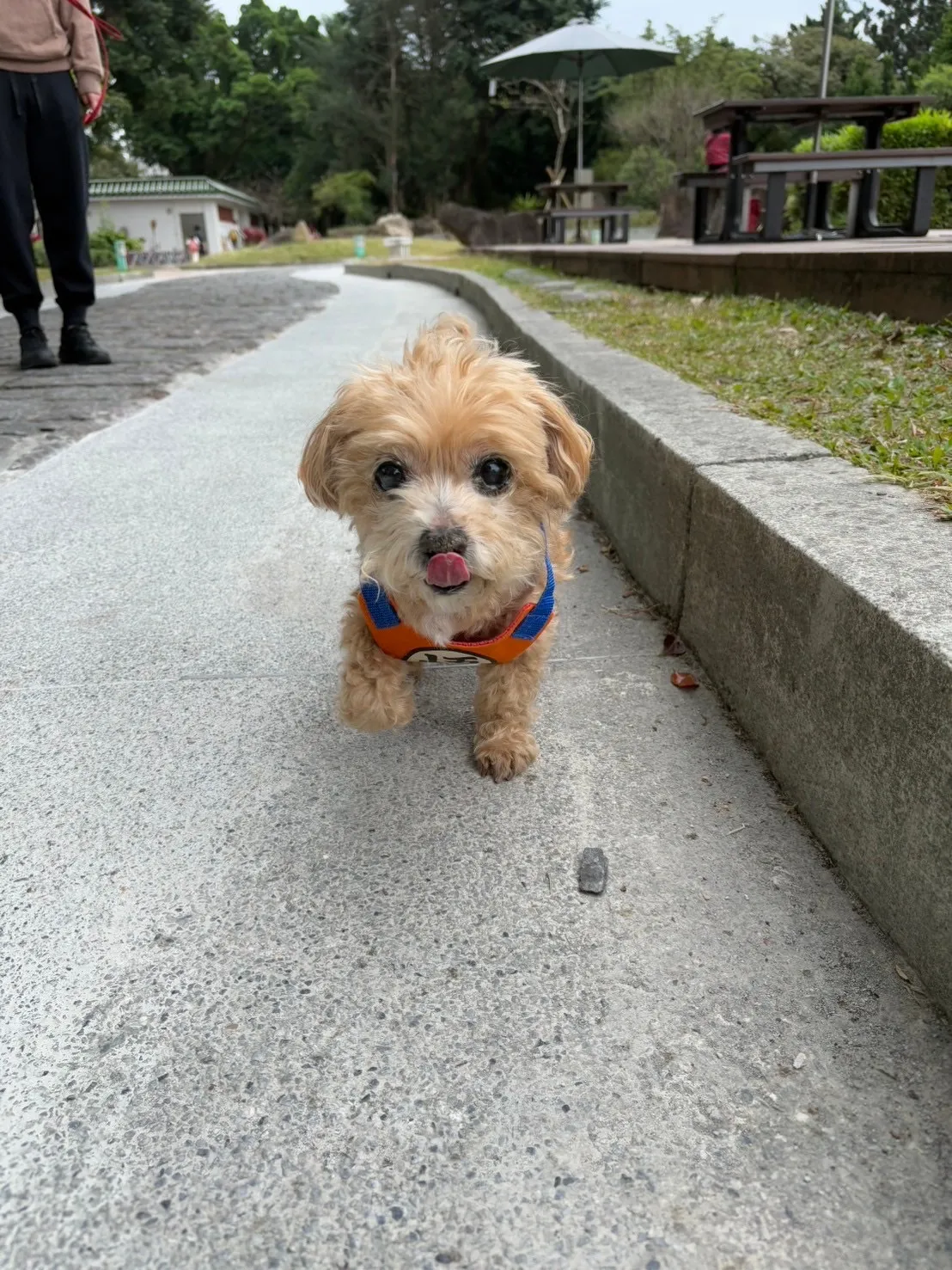 康展動物醫院