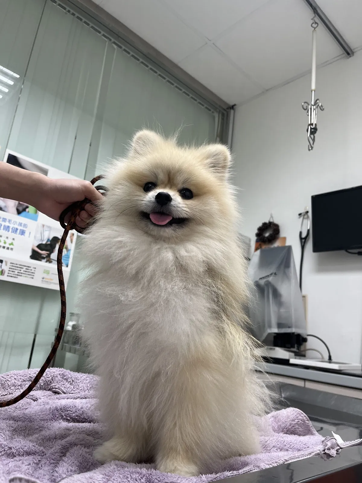 登羣動物醫院