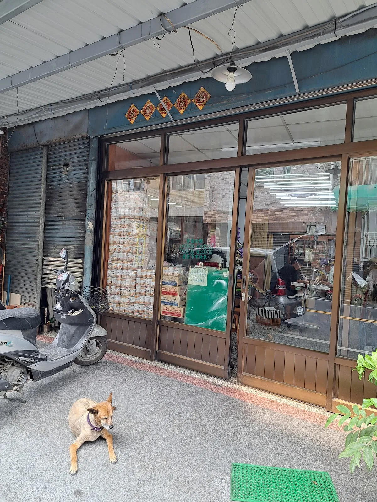行樹動物診所