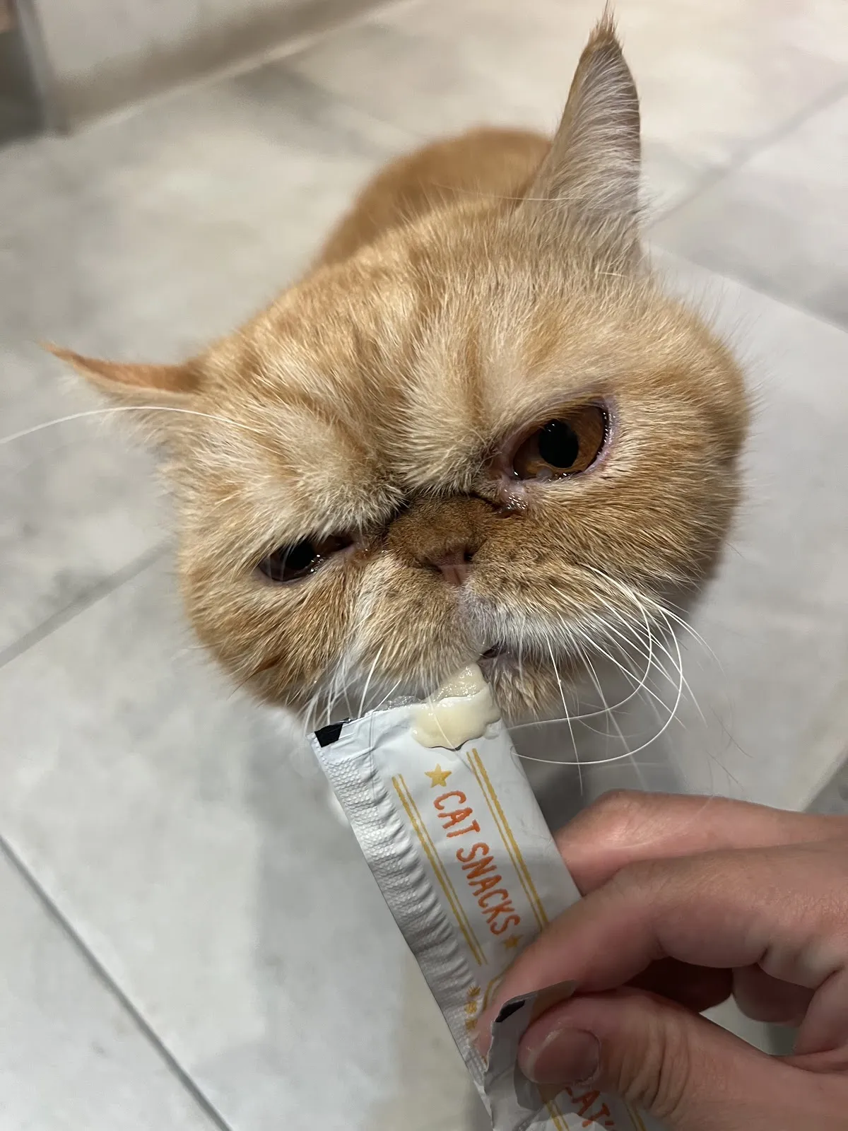 淇寶寶動物醫院