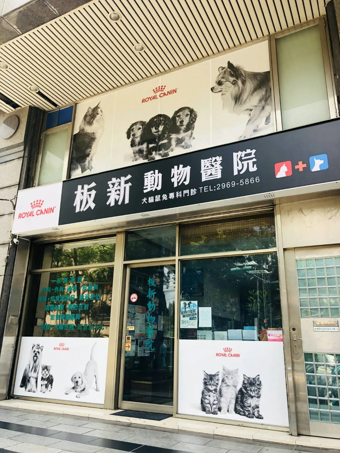 板新動物醫院