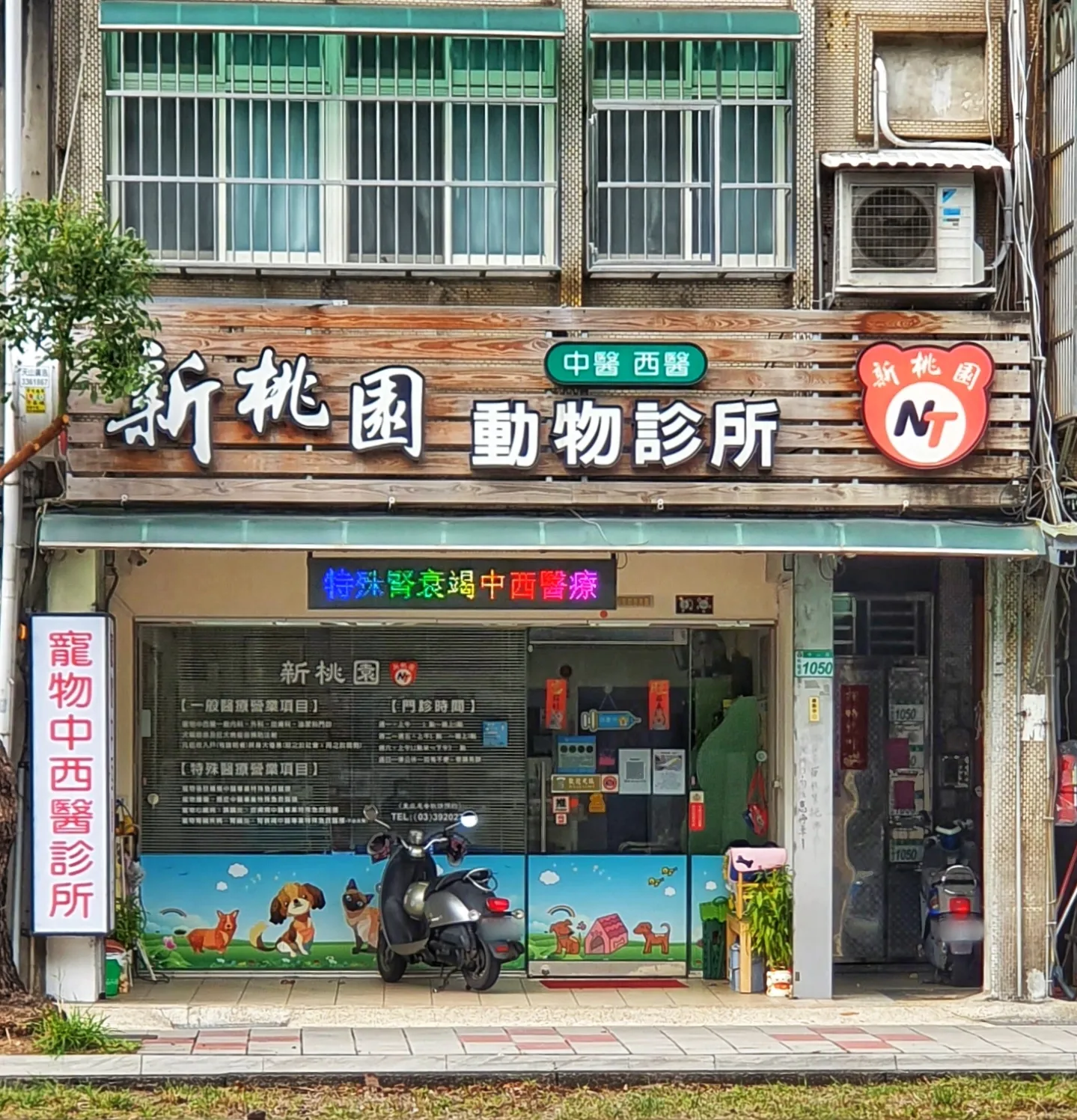 新桃園動物診所