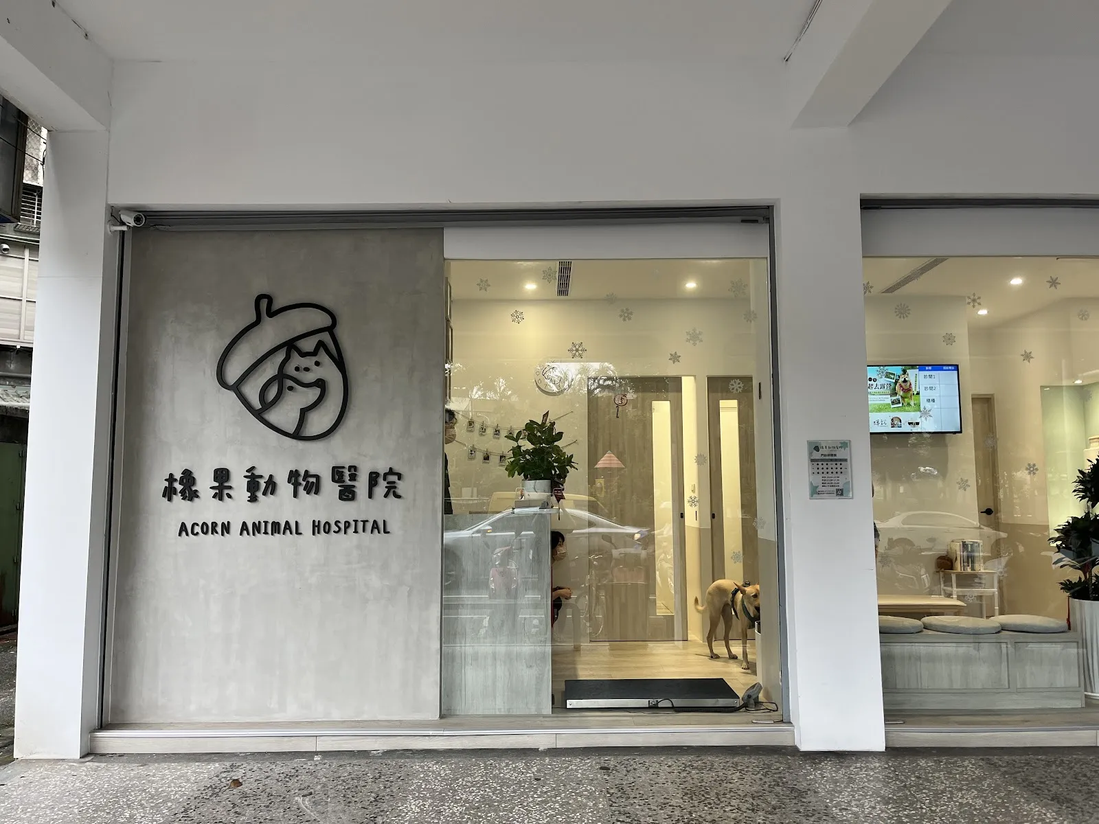 橡果動物醫院
