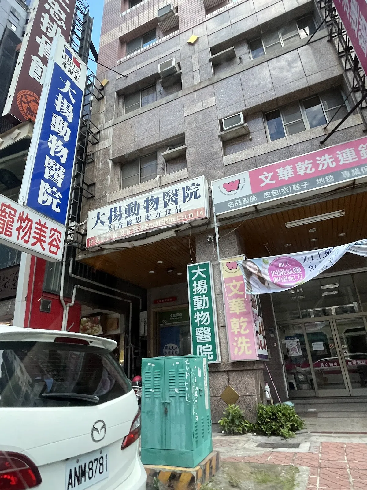 大揚動物醫院