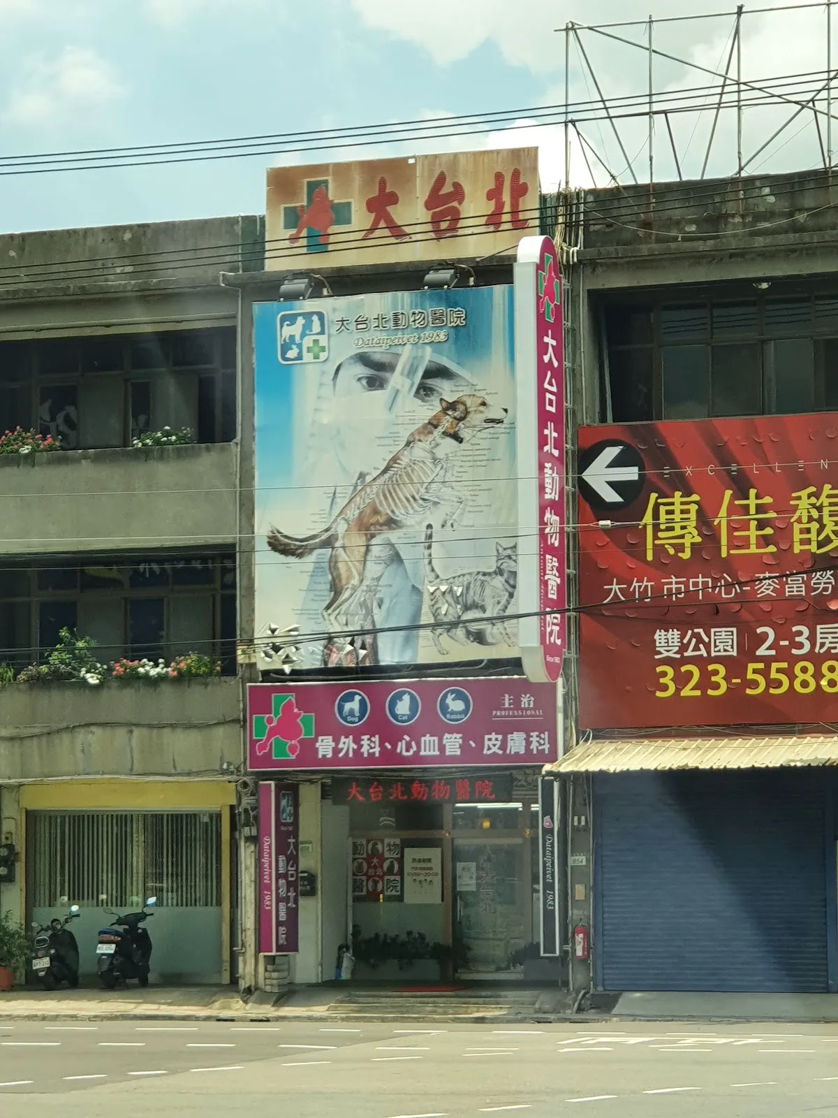 大台北動物醫院