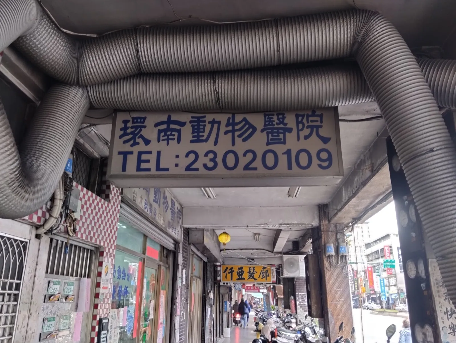 環南動物醫院
