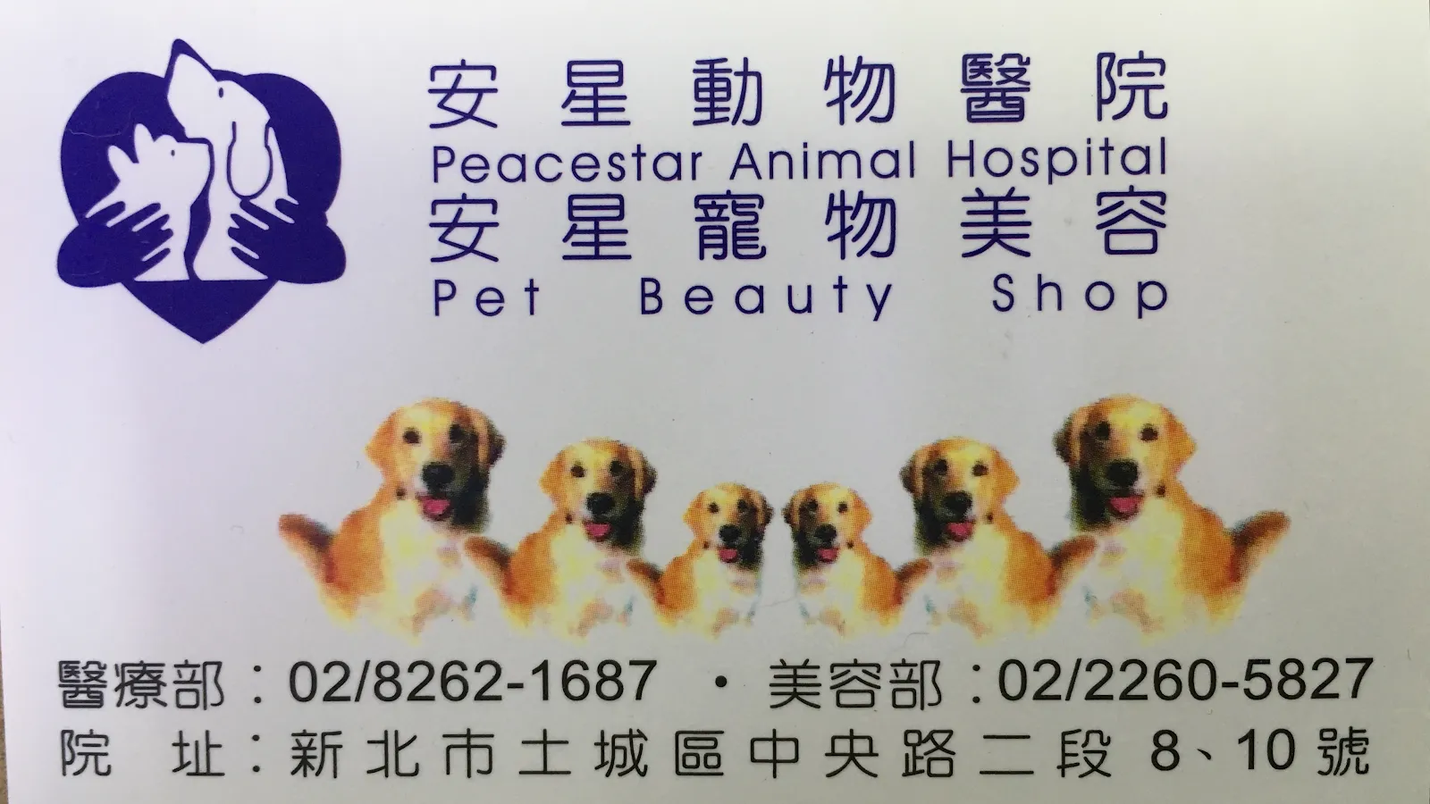安星動物醫院