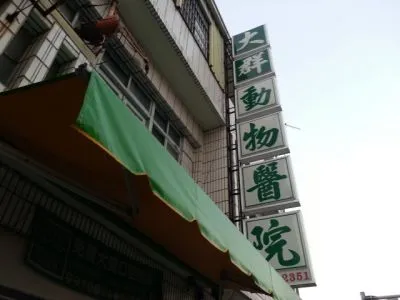 大群動物醫院